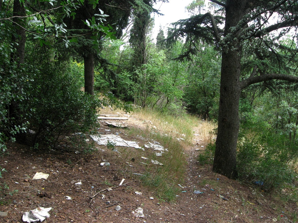 Ялта и окрестности, image of landscape/habitat.