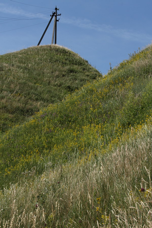 Окрестности Борисовки, image of landscape/habitat.