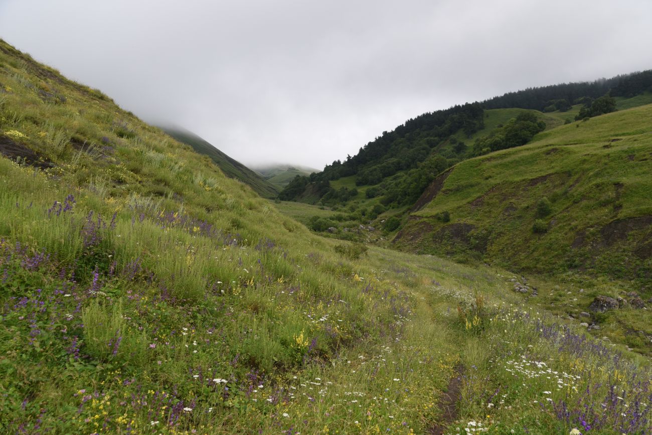 Урочище Лялах и окрестности, image of landscape/habitat.