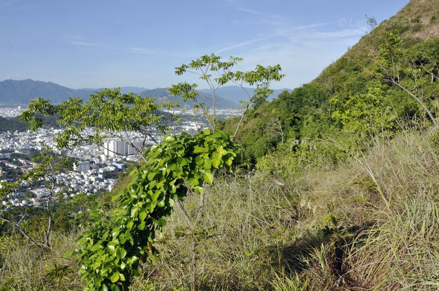 Гора Ангелов (Co Tien), image of landscape/habitat.