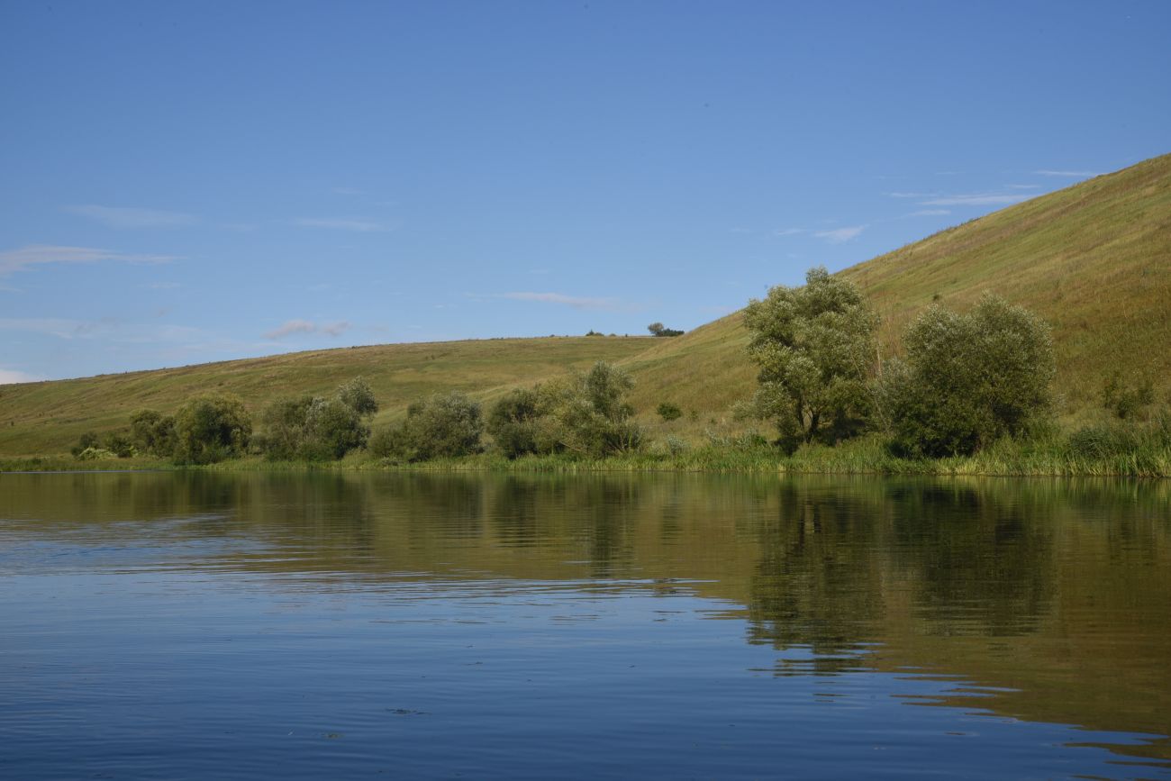 Ивановский овраг, image of landscape/habitat.