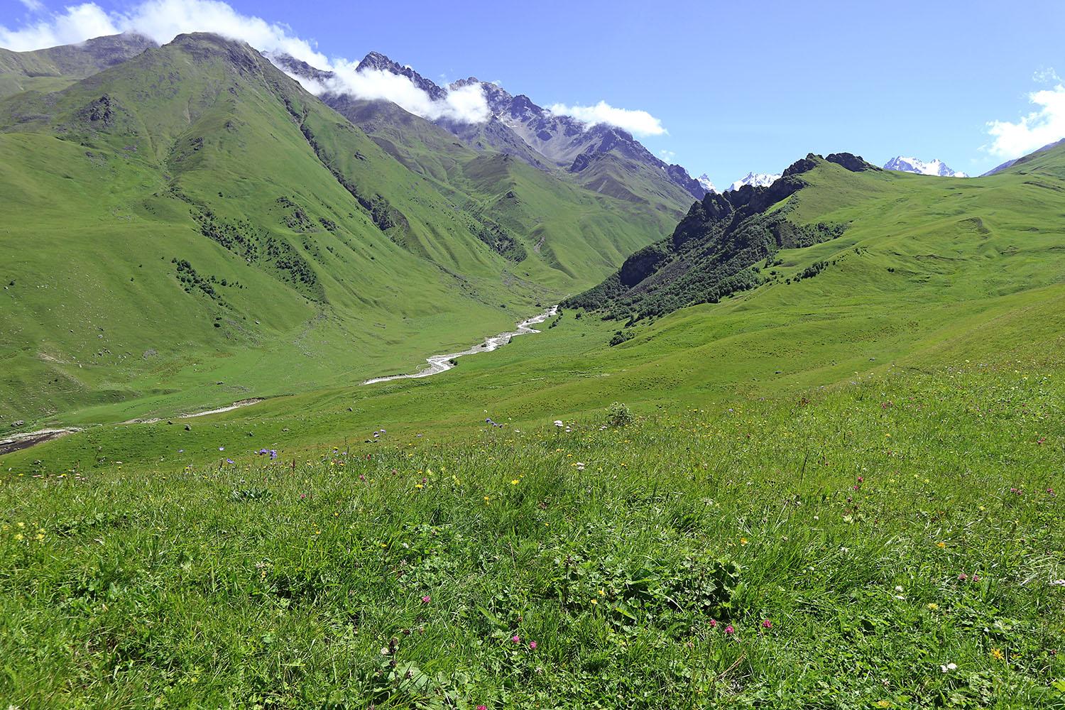 Эркедыген, image of landscape/habitat.