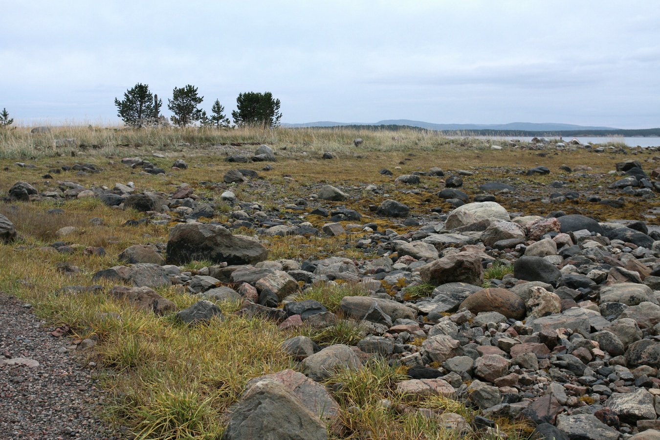 Лабиринт "Вавилон", image of landscape/habitat.