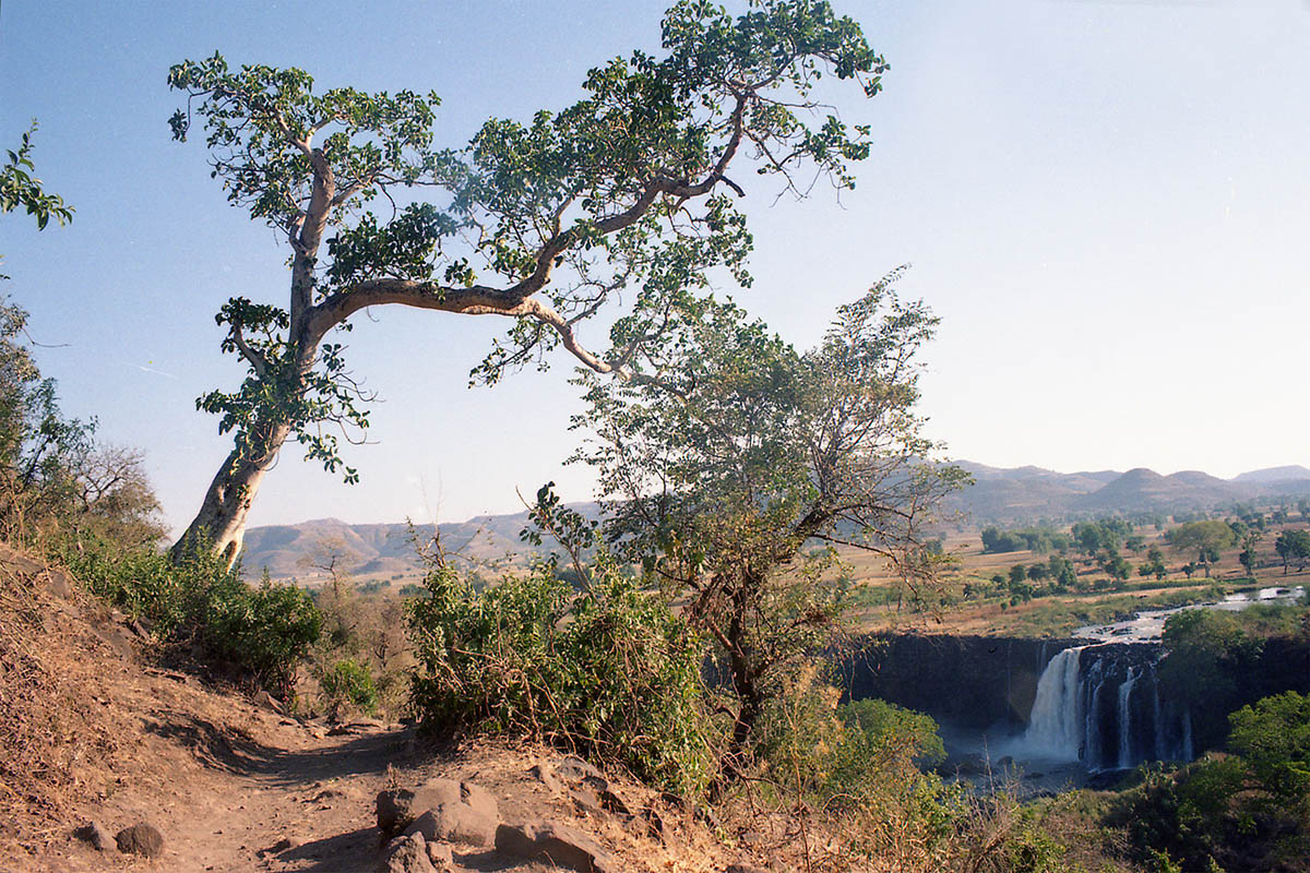 Водопады Голубого Нила, image of landscape/habitat.