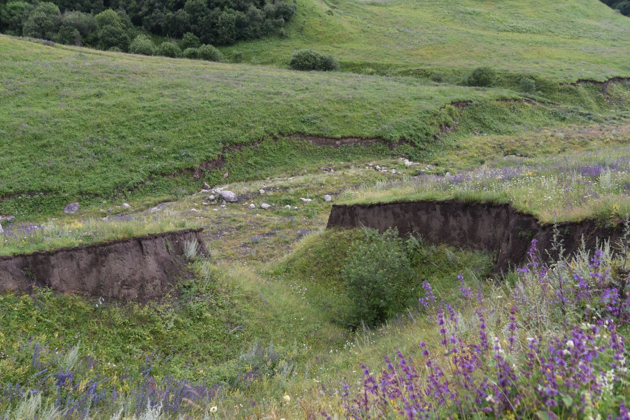 Урочище Лялах и окрестности, изображение ландшафта.