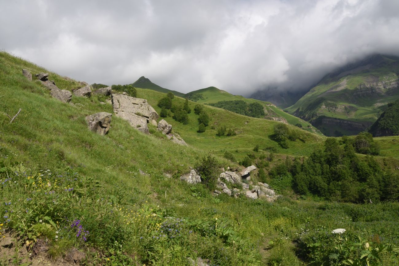 Верхнее течение Чадыри, image of landscape/habitat.