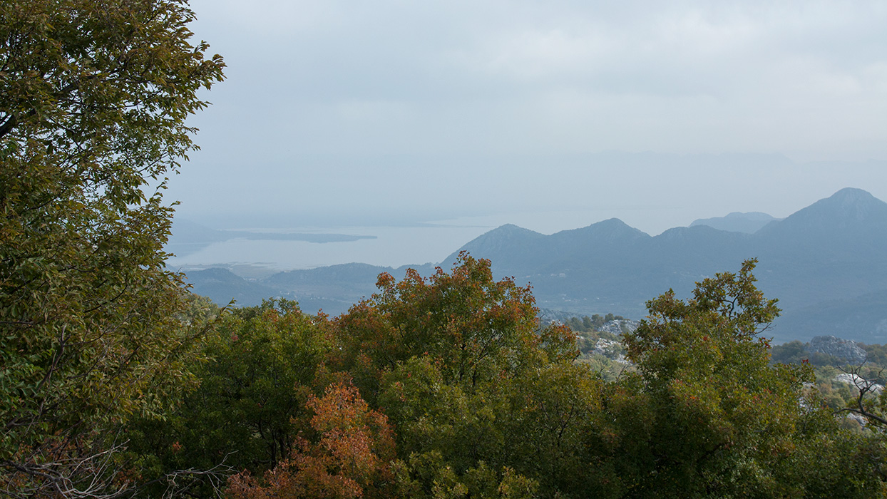 Окрестности Бриеге, image of landscape/habitat.