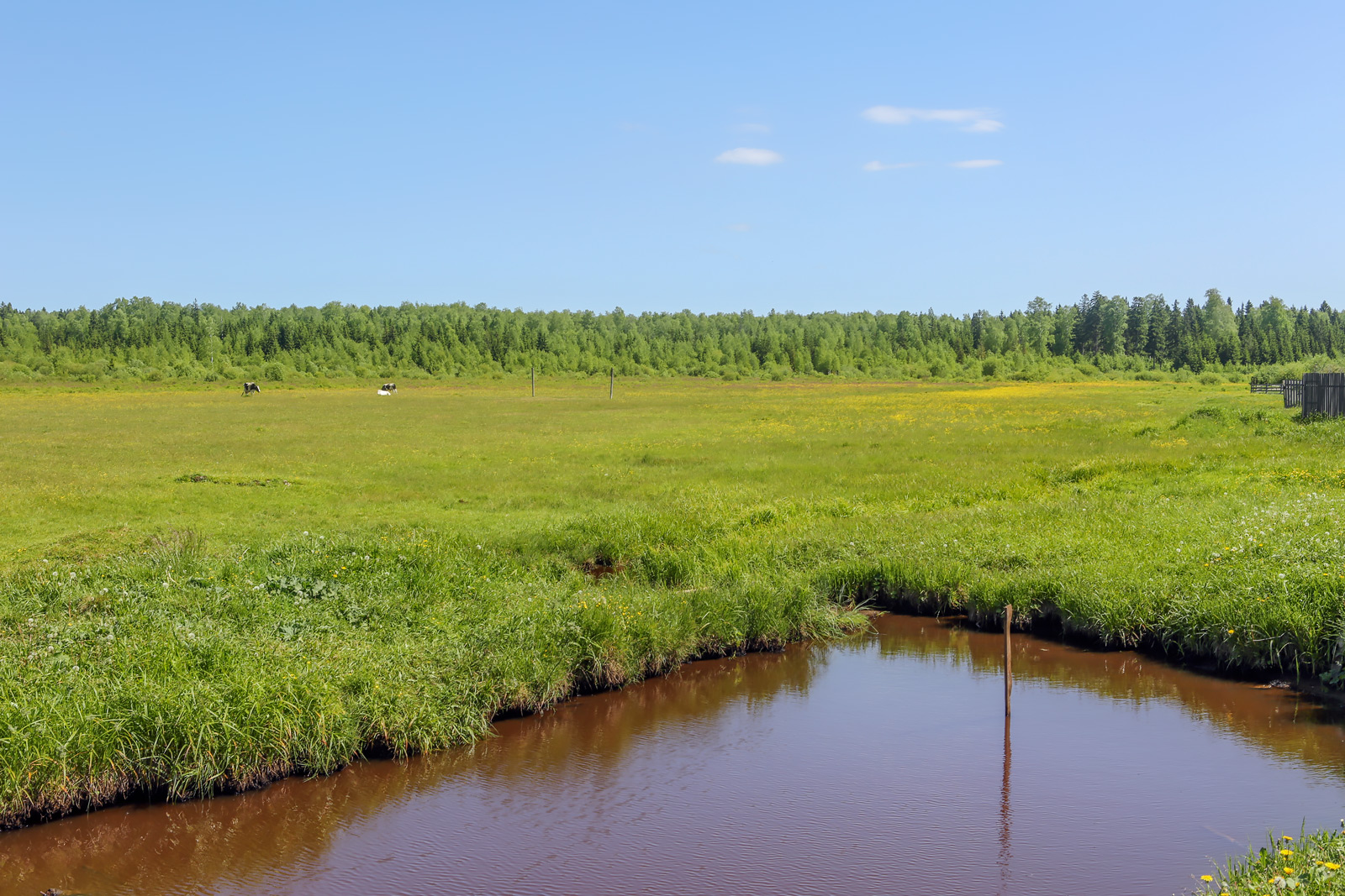 Заборная, image of landscape/habitat.