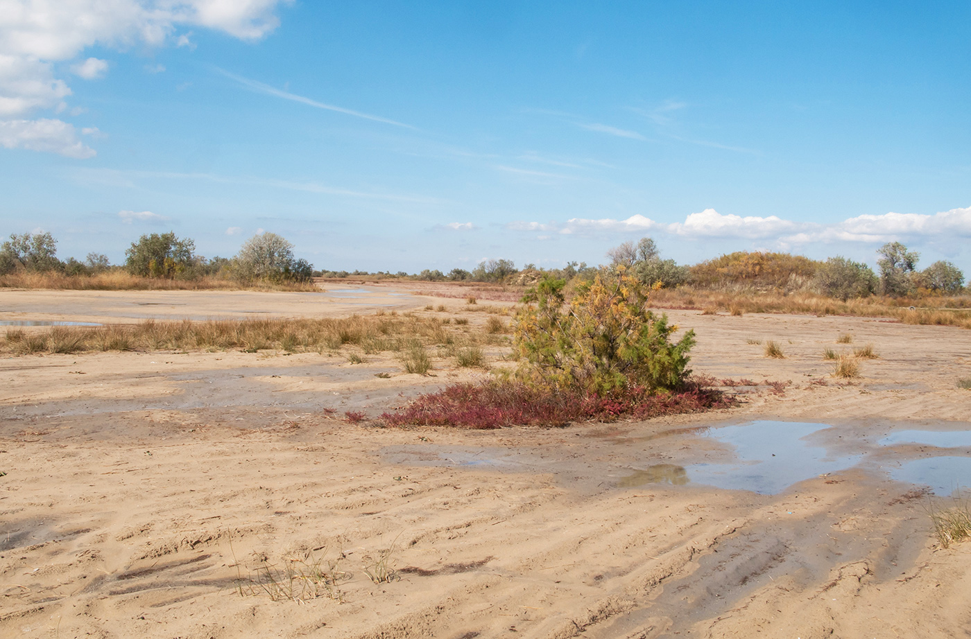 Витязевская коса, image of landscape/habitat.