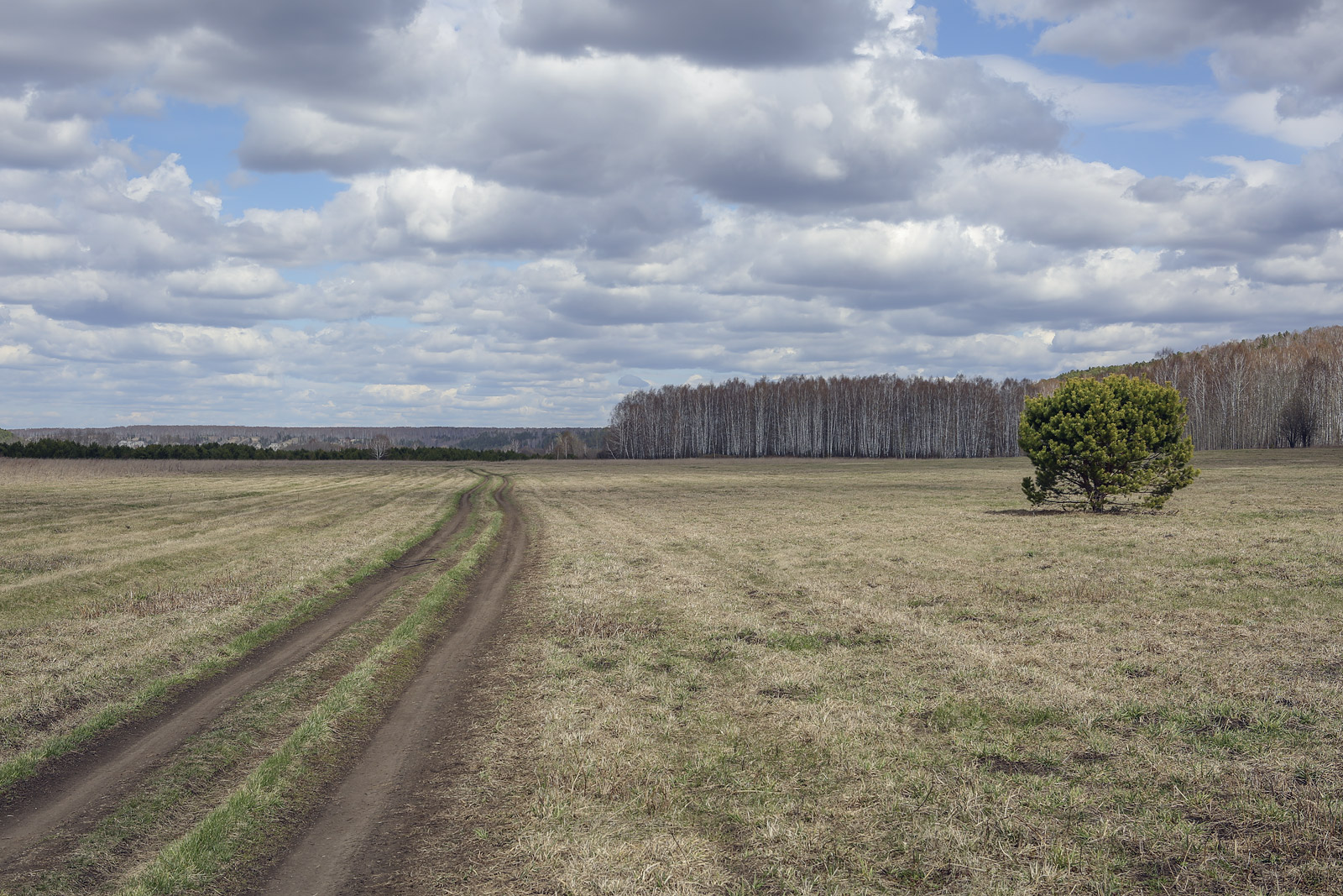 Спасская гора и её окрестности, image of landscape/habitat.