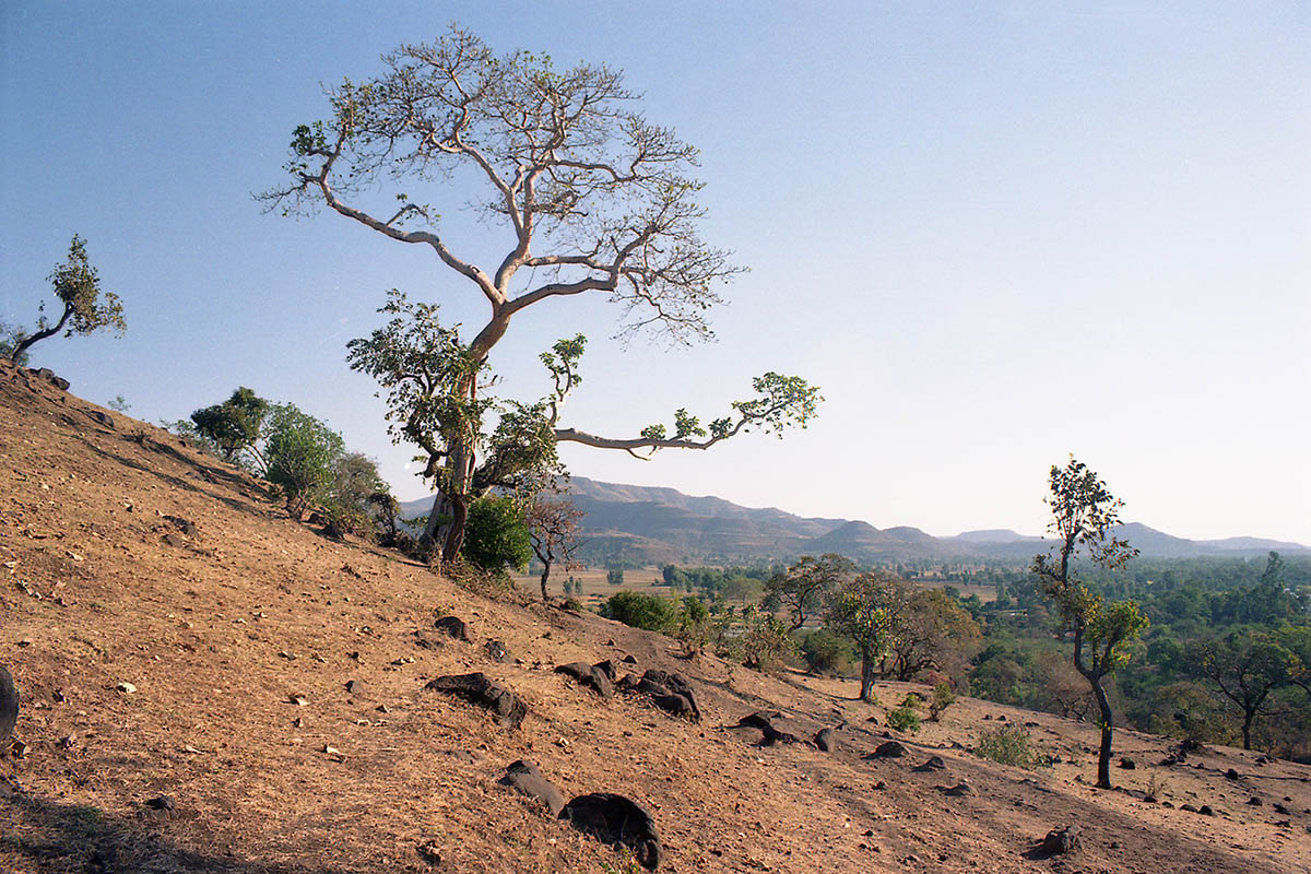 Водопады Голубого Нила, image of landscape/habitat.