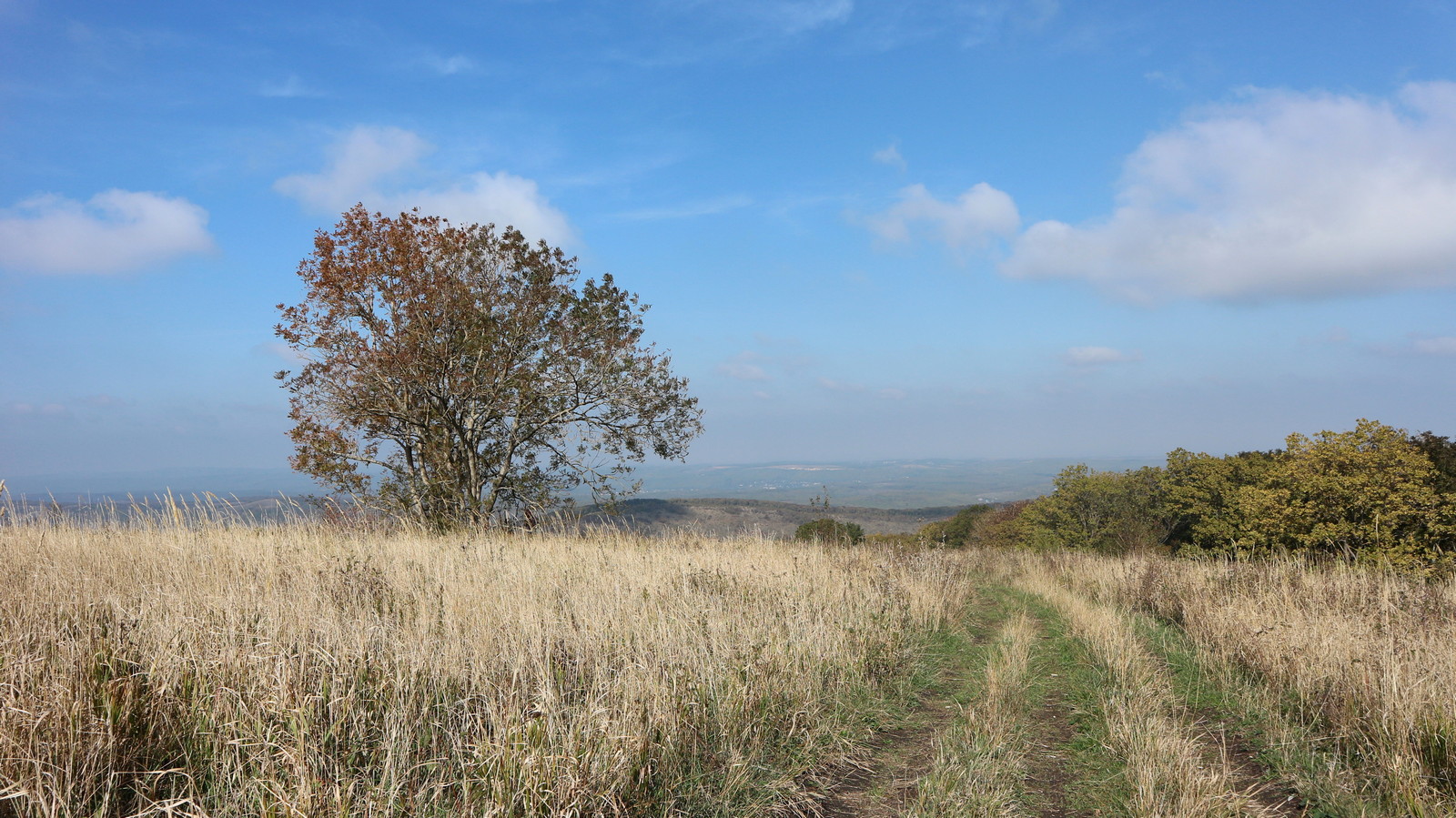 Гора Рябкова, image of landscape/habitat.