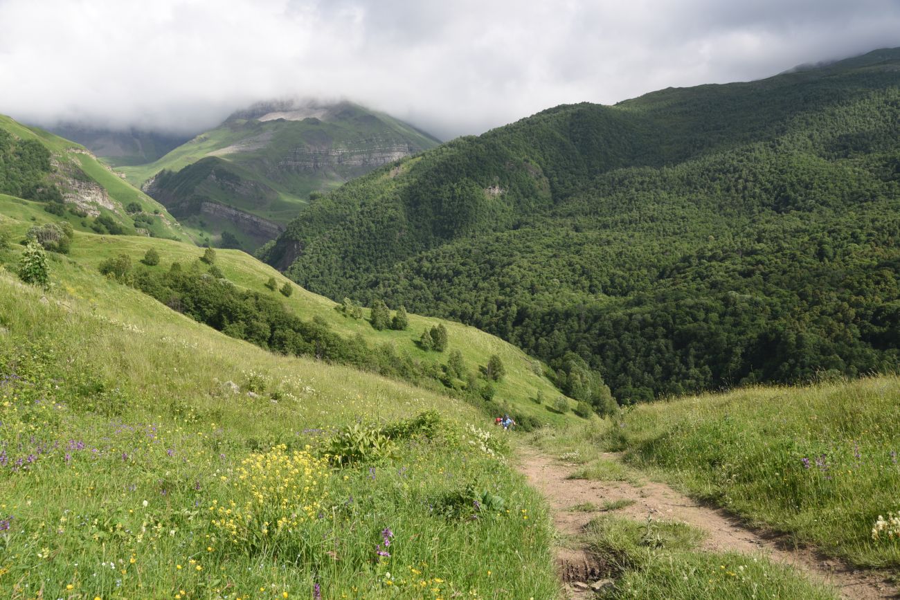 Верхнее течение Чадыри, image of landscape/habitat.