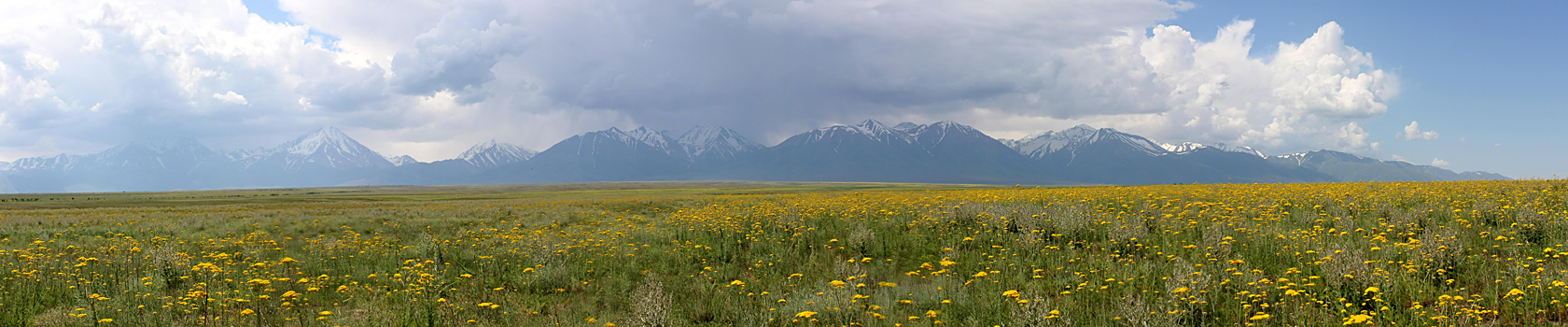 Подгорная степь, image of landscape/habitat.