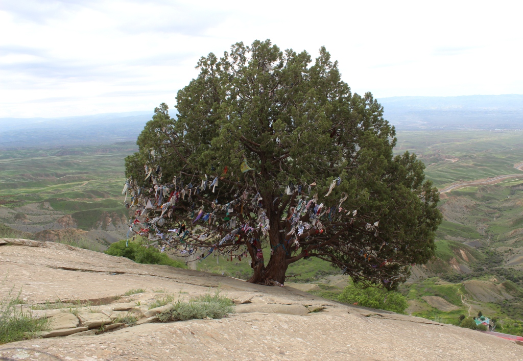 Шибли-баба, image of landscape/habitat.