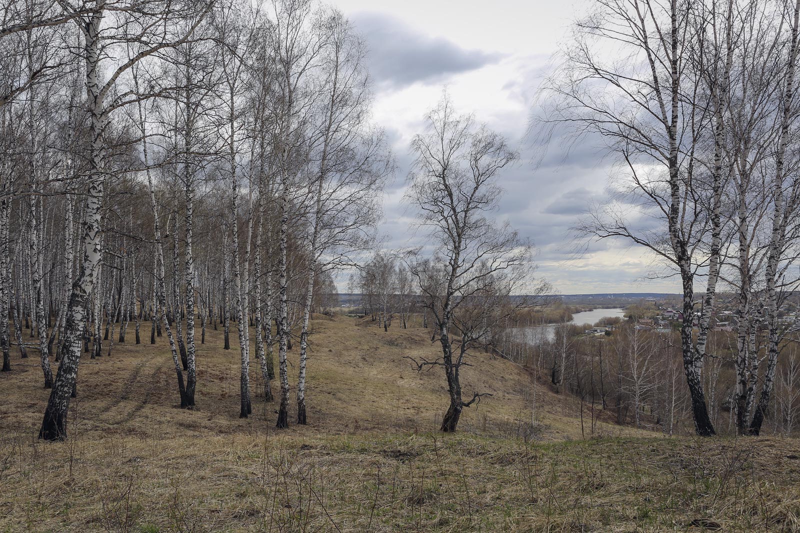 Спасская гора и её окрестности, image of landscape/habitat.