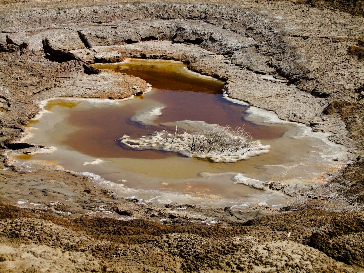 Эйн-Геди, image of landscape/habitat.