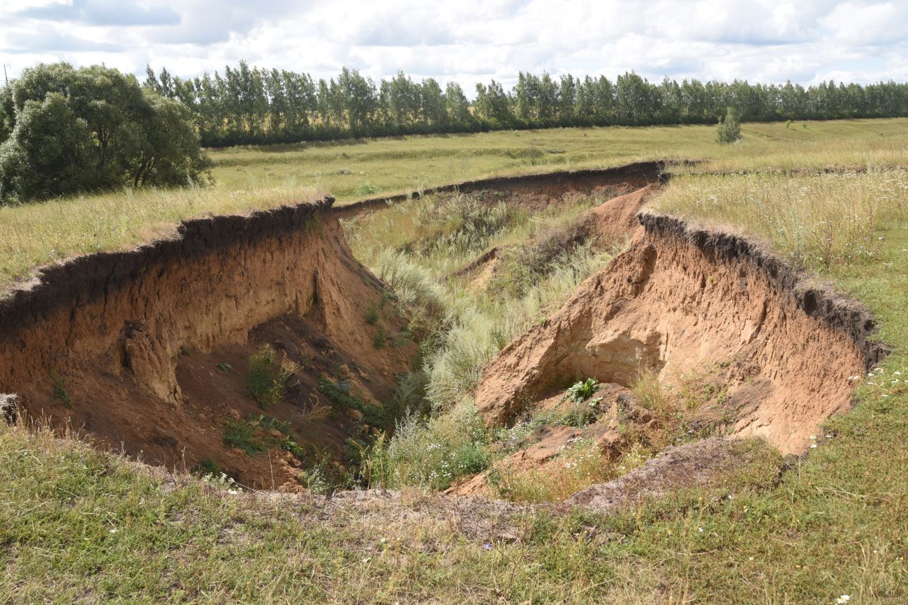 Нижняя часть долины Паники, image of landscape/habitat.