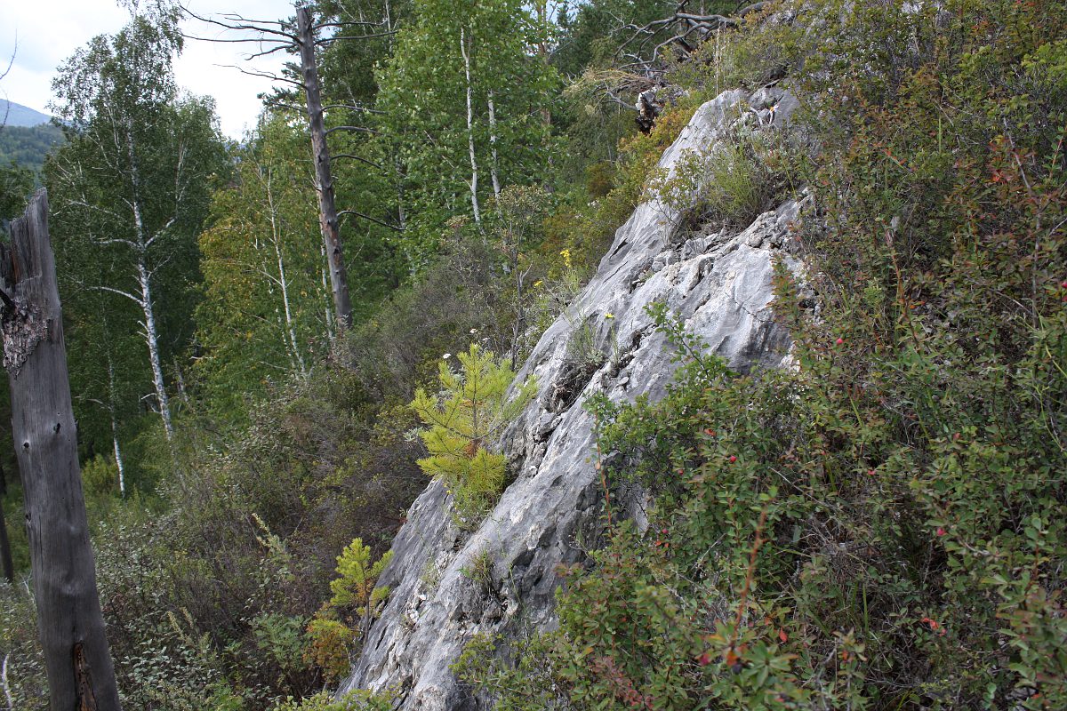 У Денисовой пещеры, image of landscape/habitat.