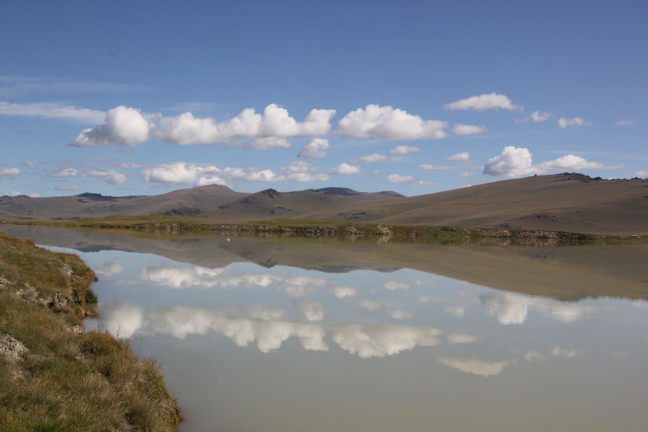 Окрестности Гусиного озера, image of landscape/habitat.