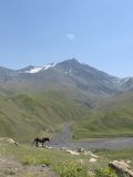 Куруш, image of landscape/habitat.