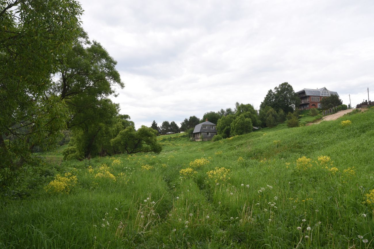 Окрестности деревни Беницы, image of landscape/habitat.