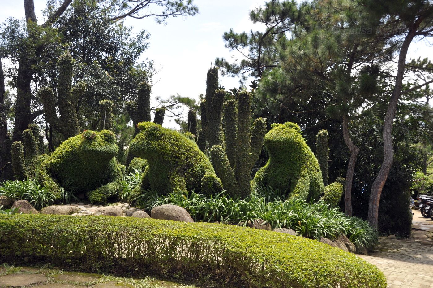 Далат, image of landscape/habitat.