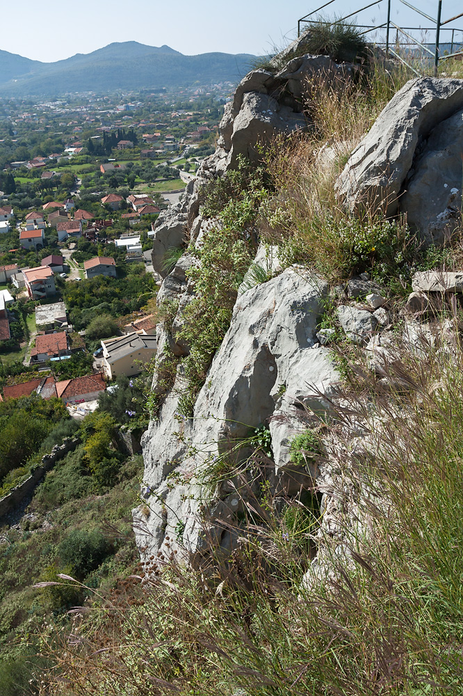 Старый Бар, image of landscape/habitat.