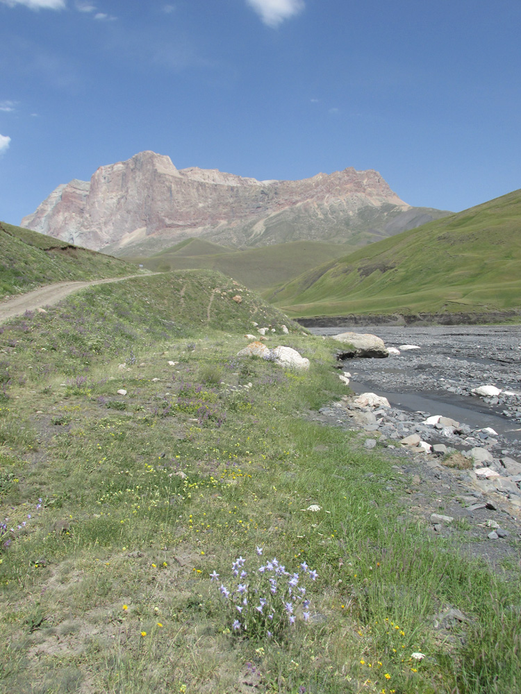 Куруш, image of landscape/habitat.