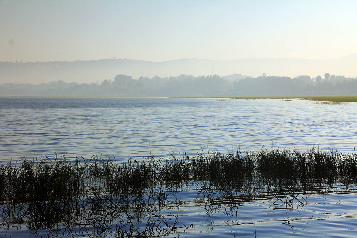 Нечи Сар, image of landscape/habitat.