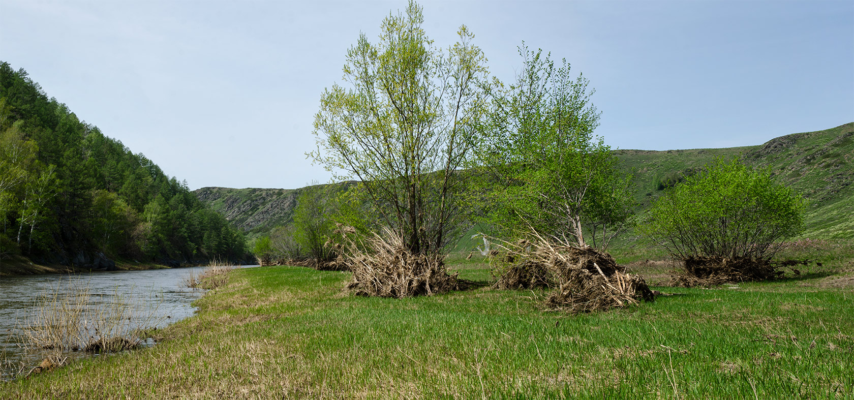 Акназарово и окрестности, image of landscape/habitat.