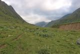 Псыгансу в верхнем течении, image of landscape/habitat.