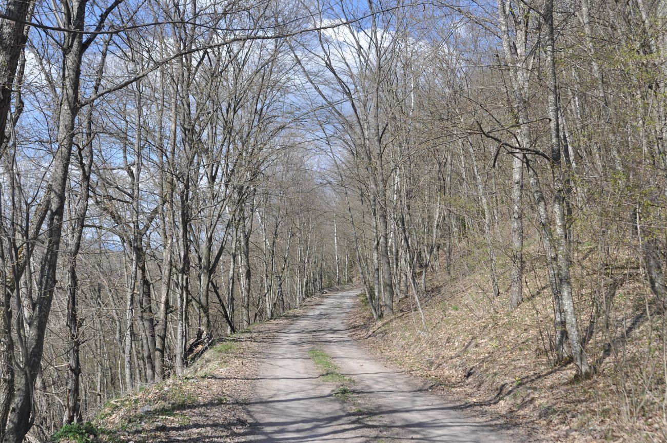 Окрестности монастыря Агара, image of landscape/habitat.