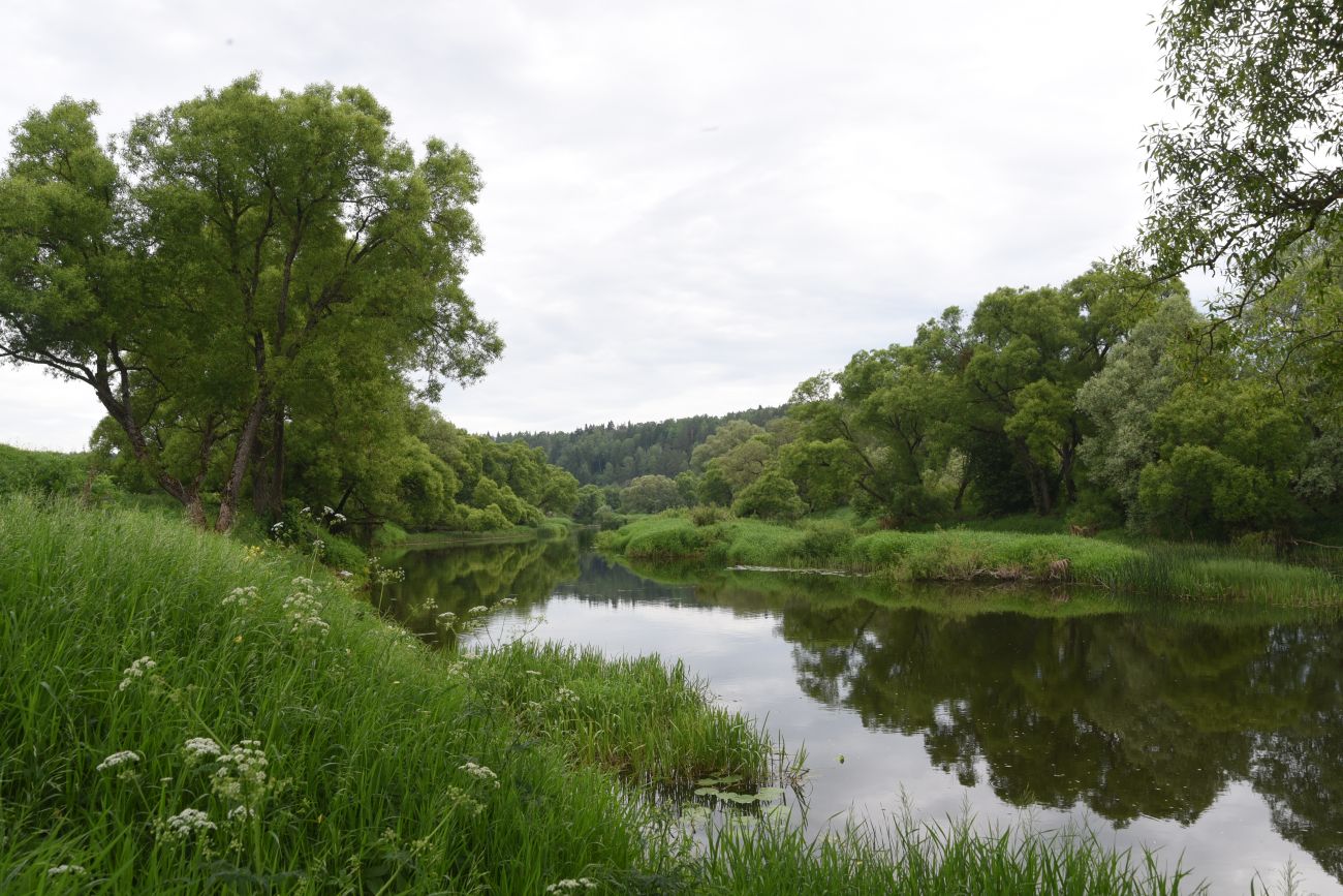 Окрестности деревни Беницы, image of landscape/habitat.