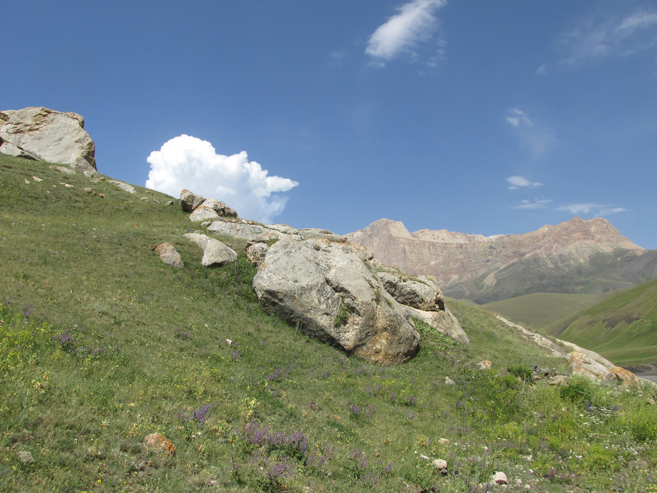 Куруш, image of landscape/habitat.