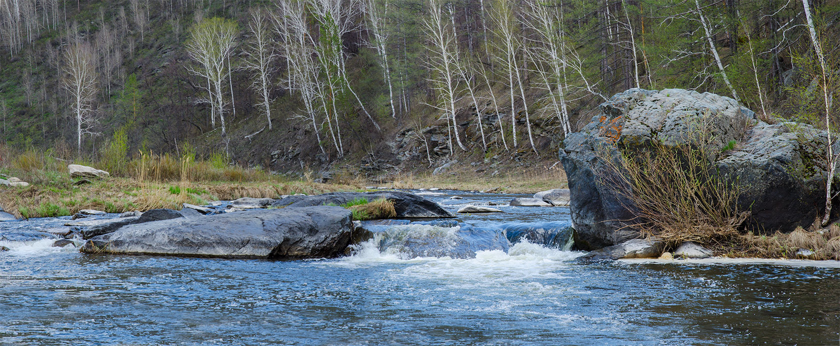 Окрестности Верхнегалеево, image of landscape/habitat.