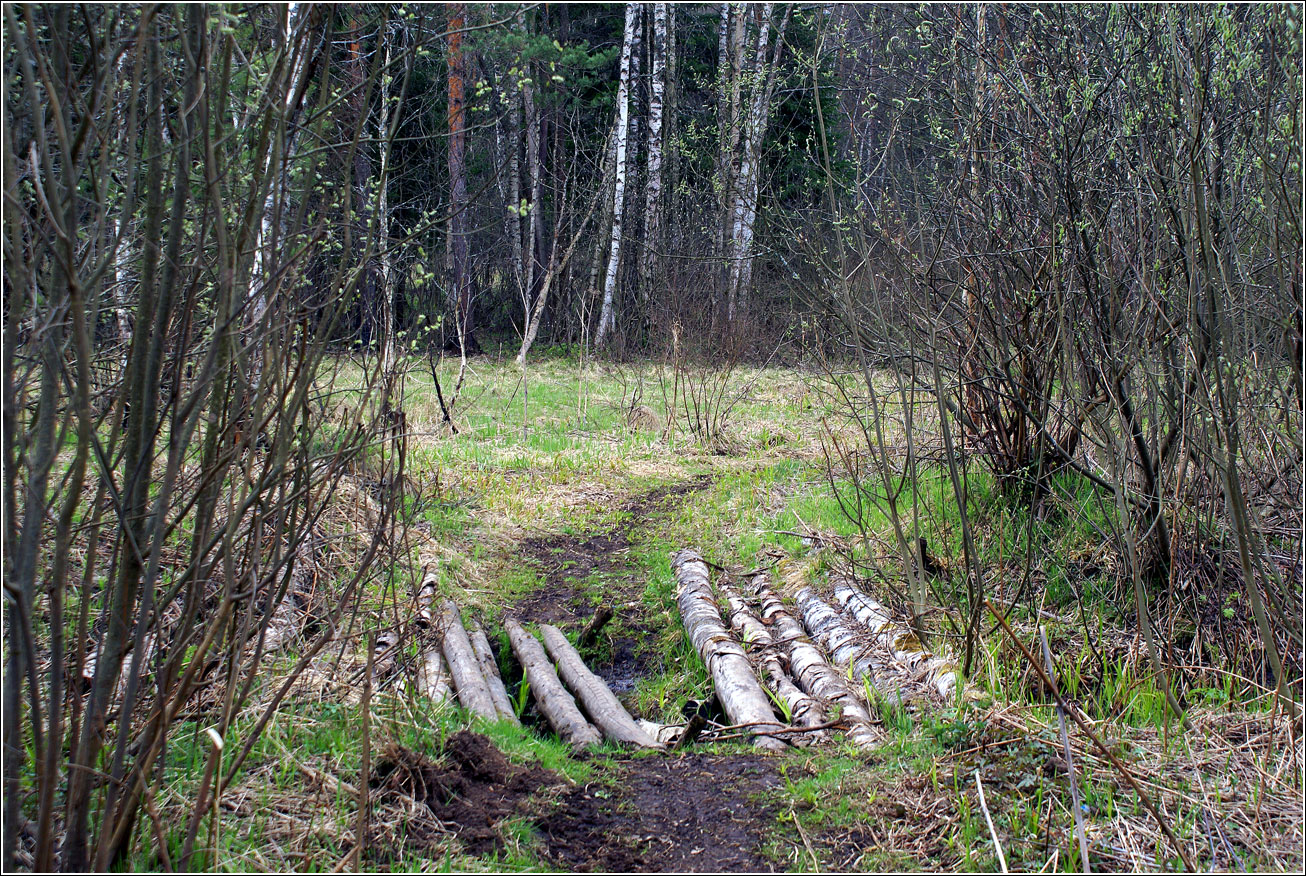 Окрестности Хрипани, image of landscape/habitat.