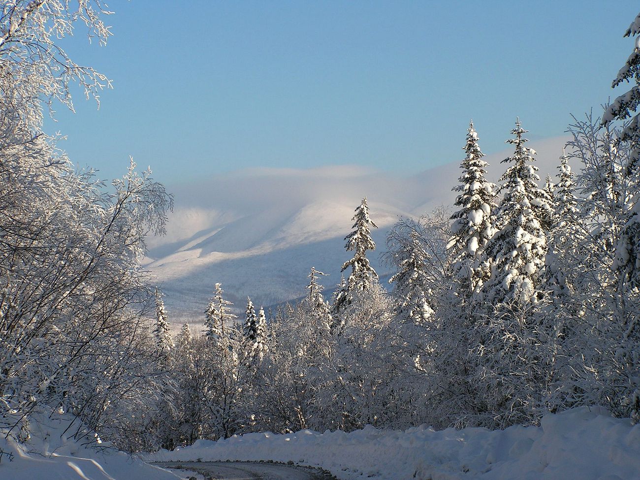 Хребет Большой Ян, image of landscape/habitat.