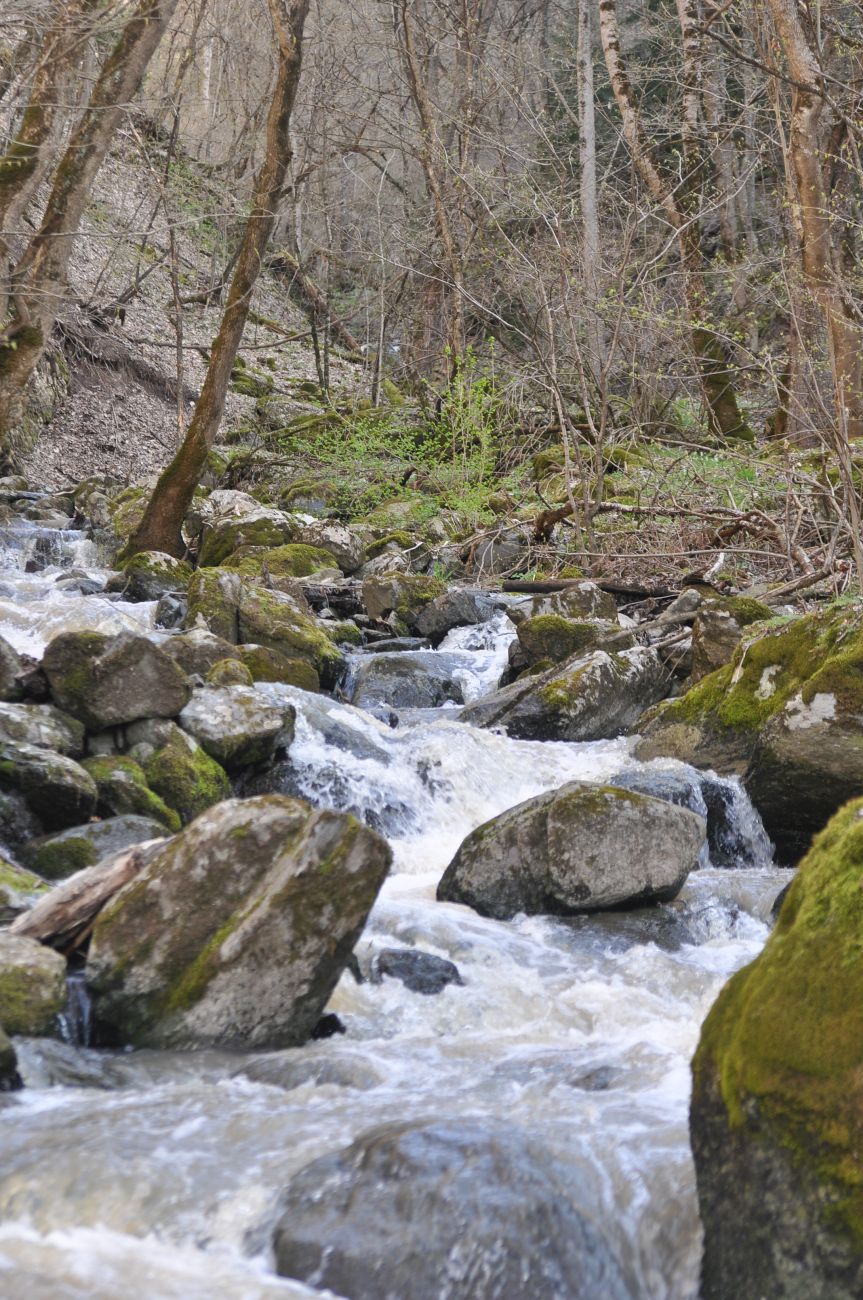 Окрестности монастыря Агара, image of landscape/habitat.