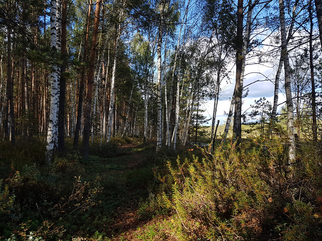 Шлюз №2 канала им. Москвы, image of landscape/habitat.