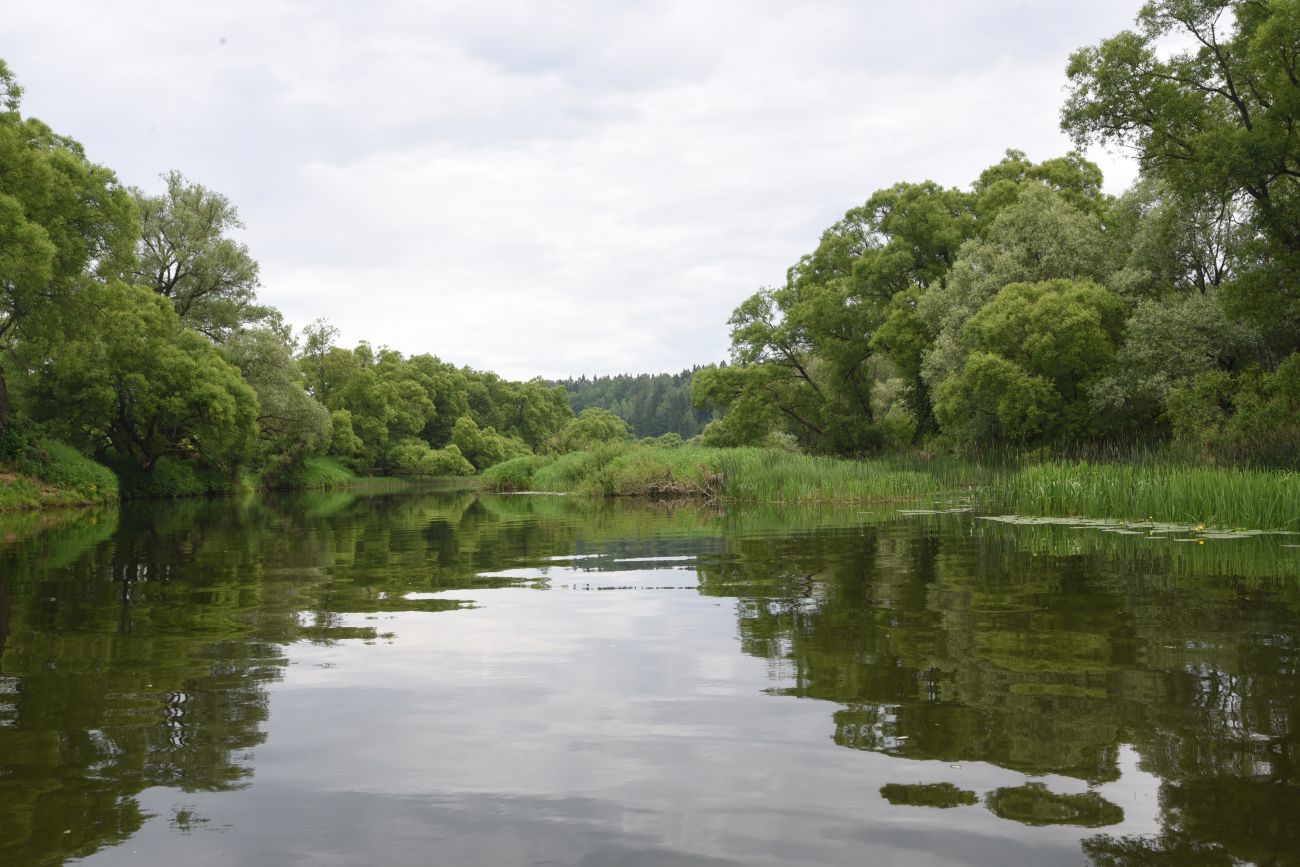 Окрестности деревни Беницы, image of landscape/habitat.