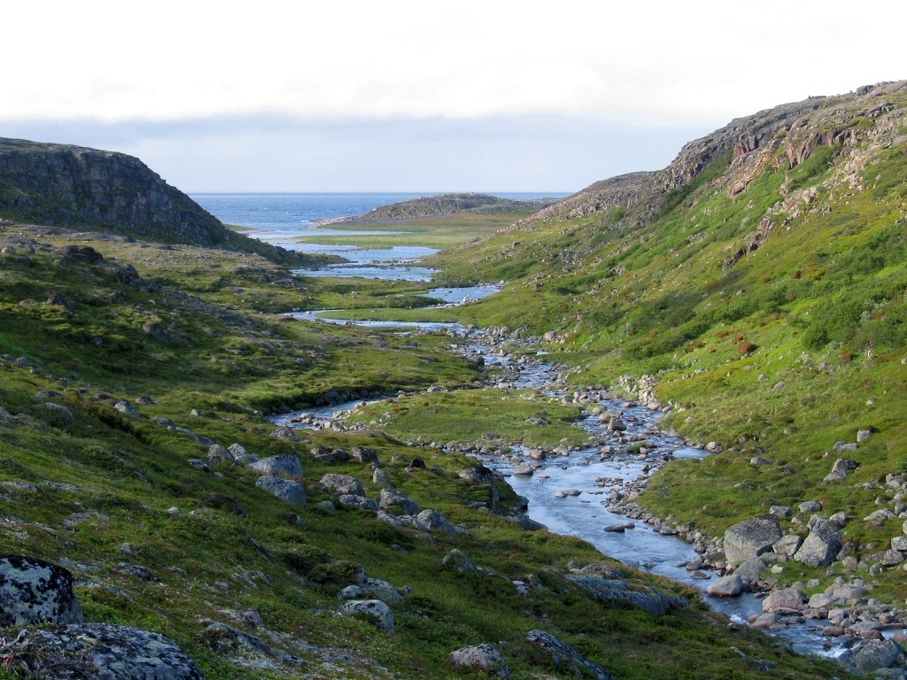 Губа Широкая, image of landscape/habitat.