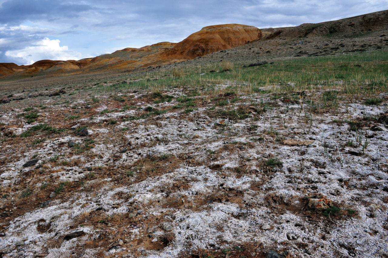 Долина реки Чаган-Узун, image of landscape/habitat.