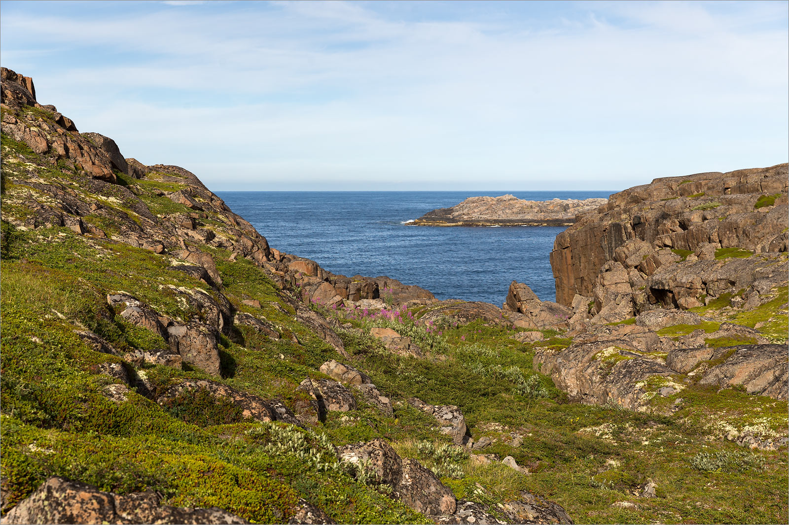 Плохие Чевры, image of landscape/habitat.