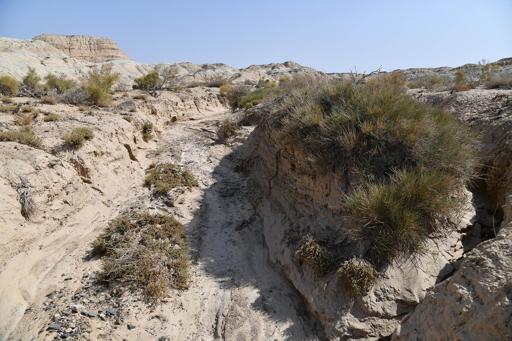 Горы Улькен-Богуты, image of landscape/habitat.