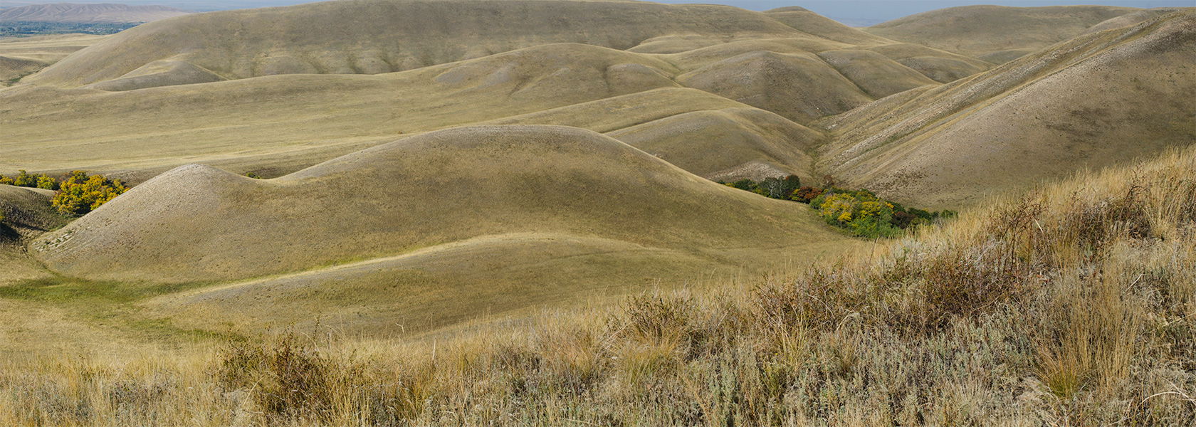 Долгие горы, image of landscape/habitat.