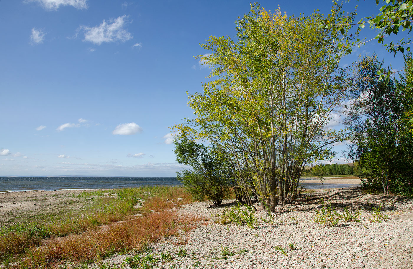 Молодецкий курган, image of landscape/habitat.