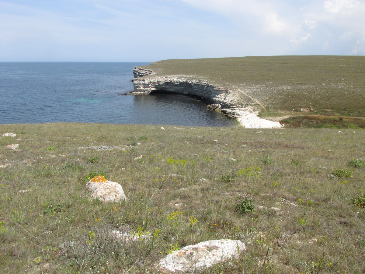 Балка Калоша, image of landscape/habitat.