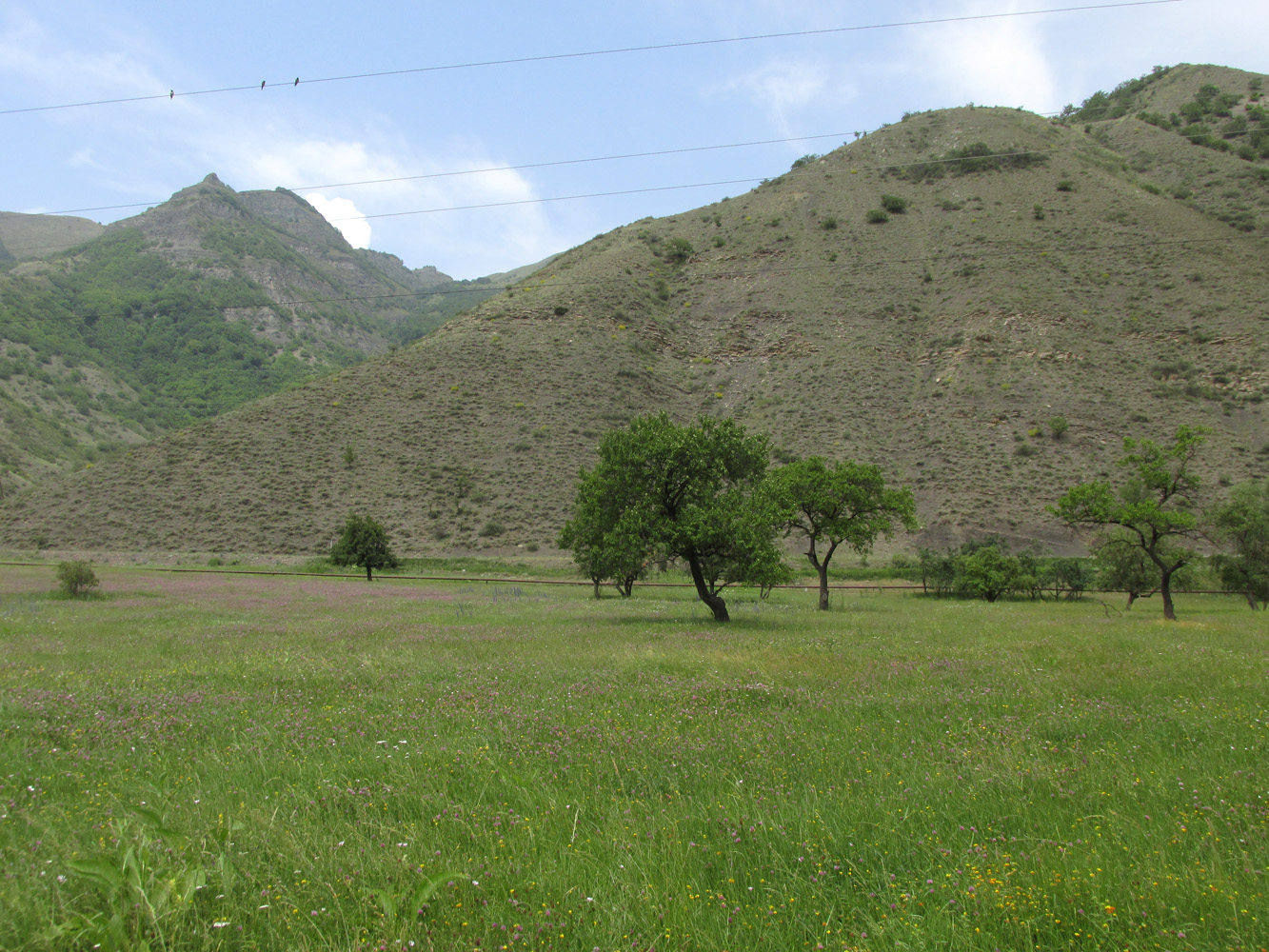 Окрестности села Штул, image of landscape/habitat.