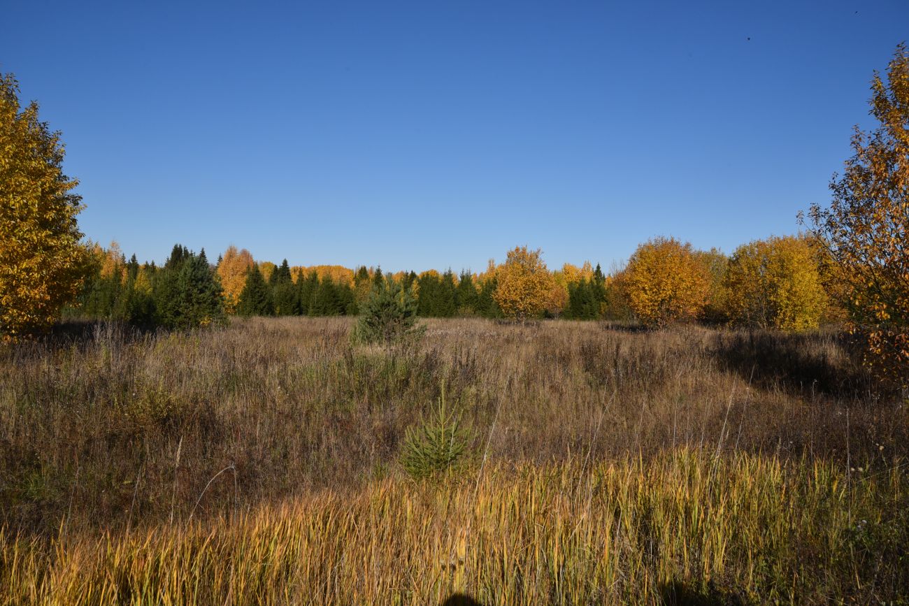 Урочище Сынково и окрестности, image of landscape/habitat.